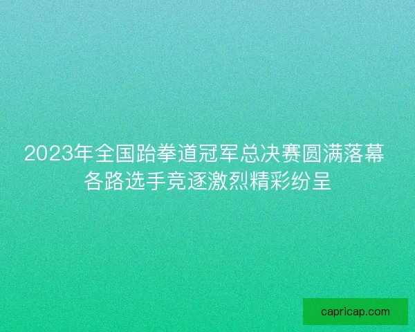 2023年全国跆拳道冠军总决赛圆满落幕 各路选手竞逐激烈精彩纷呈