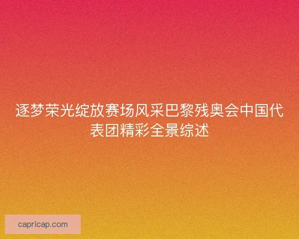 逐梦荣光绽放赛场风采巴黎残奥会中国代表团精彩全景综述